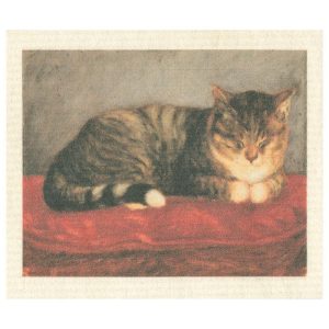 Ateneum Dishcloth Sleepy Cat Mosse