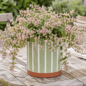 Blumentopf grün gestreift aus Keramik – modern & natürlich
