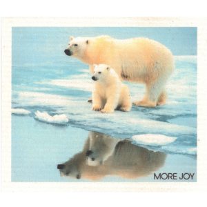 Schwammtuch Eisbär