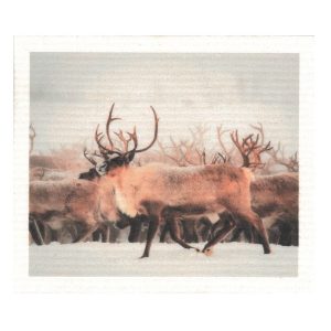 Tiskirätti Porotokka